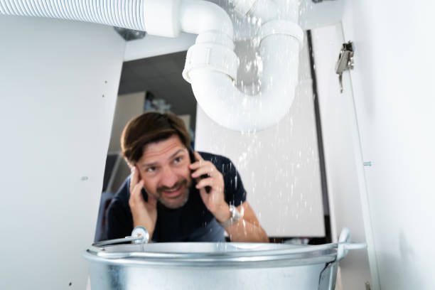Best Affordable Plumbing Services  in Ranchos De Taos, NM